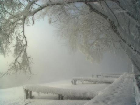 Winter Wonderland winter image 119 - foto Mikail Tkachev