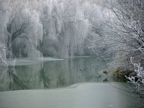 Winter Wonderland winter image 120 - photo Sylvia Lilova