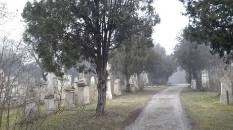 sankt-marx-cemetery-vienna-january-2016-2