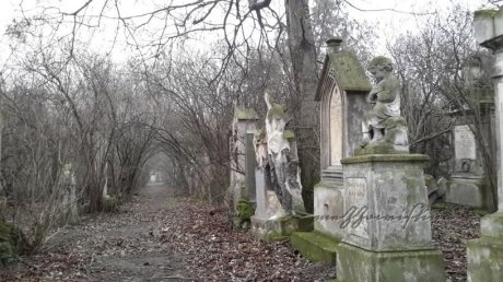 sankt-marx-cemetery-vienna-january-2016